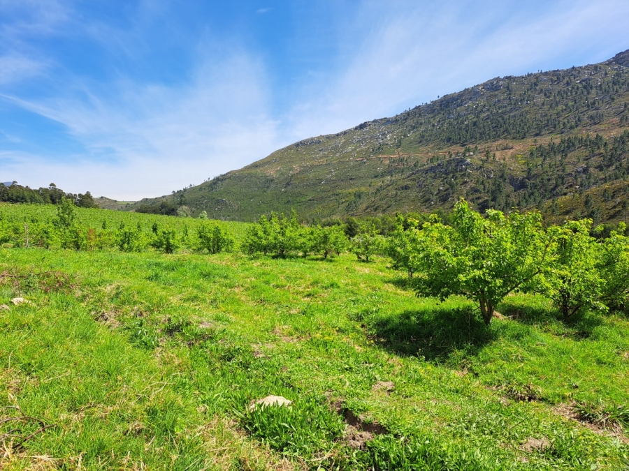 7 Bedroom Property for Sale in Riversdale Rural Western Cape